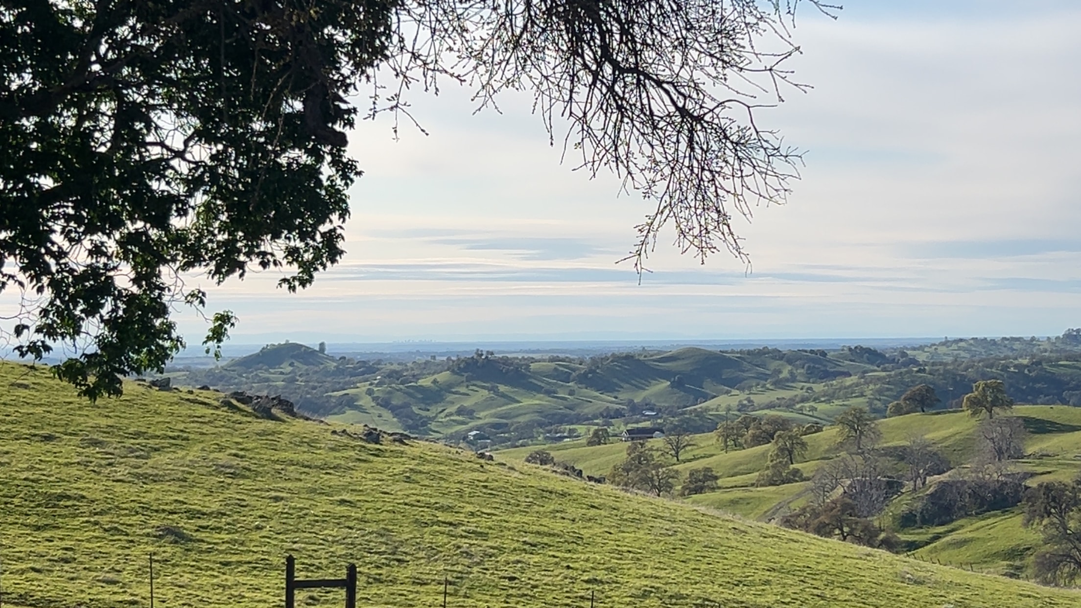 The Grandview Estate
